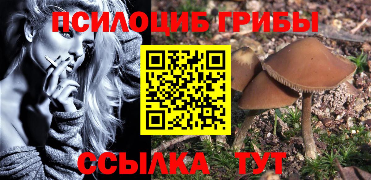 Псилоцибиновые грибы мицелий  Вход с VPN  Ишим 