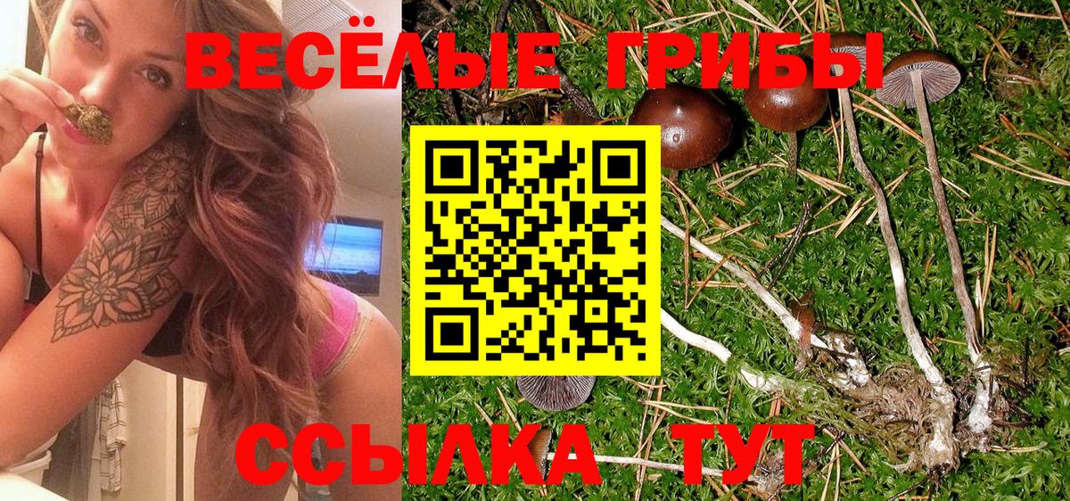 Псилоцибиновые грибы GOLDEN TEACHER Ишим